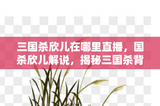 三国杀欣儿在哪里直播,国杀欣儿解说,揭秘三国杀背后的策略与智慧 三国杀欣儿在哪里直播,国杀欣儿解说,揭秘三国杀背后的策略与智慧