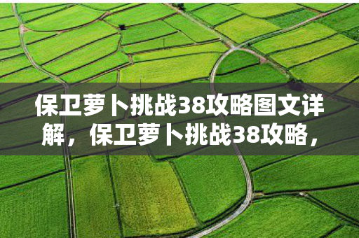 保卫萝卜挑战38攻略图文详解，保卫萝卜挑战38攻略，策略与技巧的深度解析
