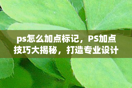 ps怎么加点标记，PS加点技巧大揭秘，打造专业设计感的秘诀