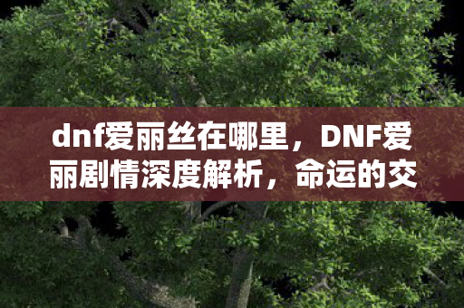 dnf爱丽丝在哪里,DNF爱丽剧情深度解析,命运的交织与抉择 dnf爱丽丝在哪里,DNF爱丽剧情深度解析,命运的交织与抉择