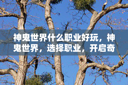 神鬼世界什么职业好玩，神鬼世界，选择职业，开启奇幻之旅