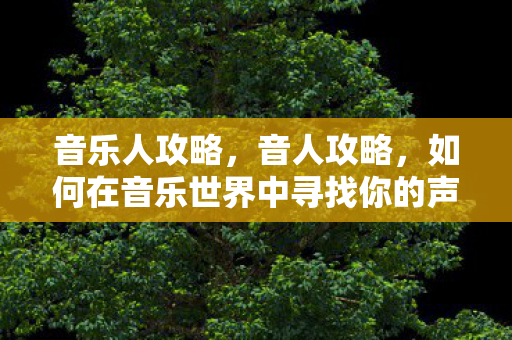 音乐人攻略，音人攻略，如何在音乐世界中寻找你的声音