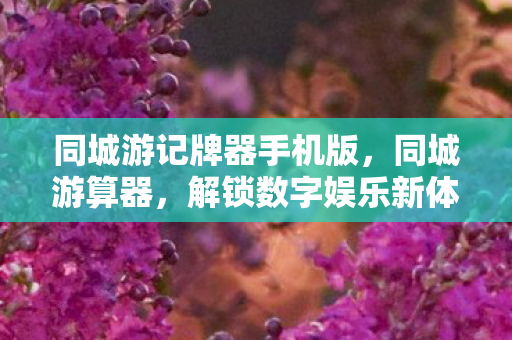 同城游记牌器手机版,同城游算器,解锁数字娱乐新体验 同城游记牌器手机版,同城游算器,解锁数字娱乐新体验