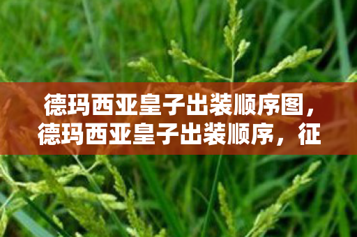 德玛西亚皇子出装顺序图,德玛西亚皇子出装顺序,征服战场的最佳装备搭配 德玛西亚皇子出装顺序图,德玛西亚皇子出装顺序,征服战场的最佳装备搭配