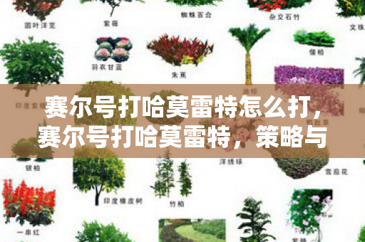 赛尔号打哈莫雷特怎么打,赛尔号打哈莫雷特,策略与技巧的深度剖析 赛尔号打哈莫雷特怎么打,赛尔号打哈莫雷特,策略与技巧的深度剖析