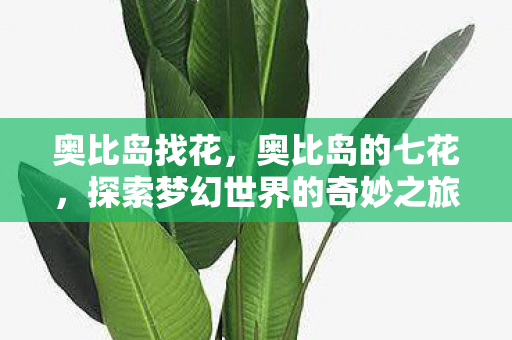 奥比岛找花,奥比岛的七花,探索梦幻世界的奇妙之旅 奥比岛找花,奥比岛的七花,探索梦幻世界的奇妙之旅