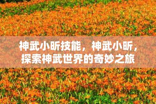 神武小昕技能,神武小昕,探索神武世界的奇妙之旅 神武小昕技能,神武小昕,探索神武世界的奇妙之旅