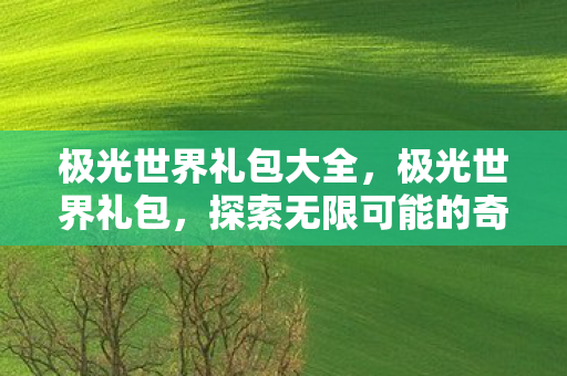 极光世界礼包大全，极光世界礼包，探索无限可能的奇幻之旅