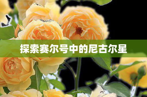 探索赛尔号中的尼古尔星 探索赛尔号中的尼古尔星