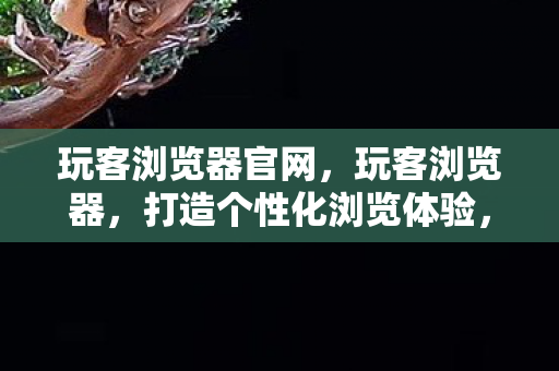 玩客浏览器官网，玩客浏览器，打造个性化浏览体验，畅享安全高效的网络世界