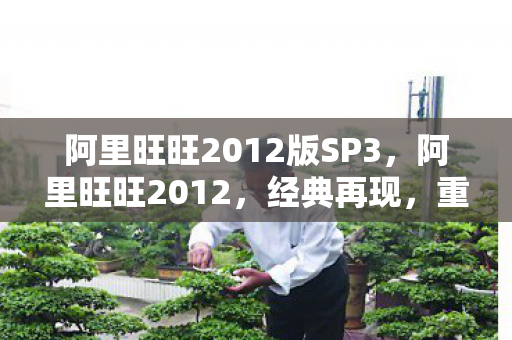 阿里旺旺2012版SP3,阿里旺旺2012,经典再现,重塑即时通讯新体验 阿里旺旺2012版SP3,阿里旺旺2012,经典再现,重塑即时通讯新体验