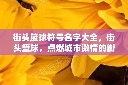 街头篮球符号名字大全，街头篮球，点燃城市激情的街头文化