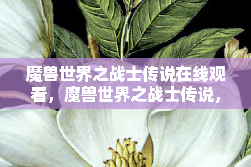 魔兽世界之战士传说在线观看，魔兽世界之战士传说，探索战士职业的荣耀与传奇