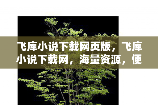 飞库小说下载网页版，飞库小说下载网，海量资源，便捷阅读新体验