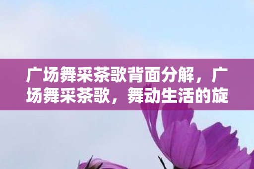 广场舞采茶歌背面分解,广场舞采茶歌,舞动生活的旋律 广场舞采茶歌背面分解,广场舞采茶歌,舞动生活的旋律