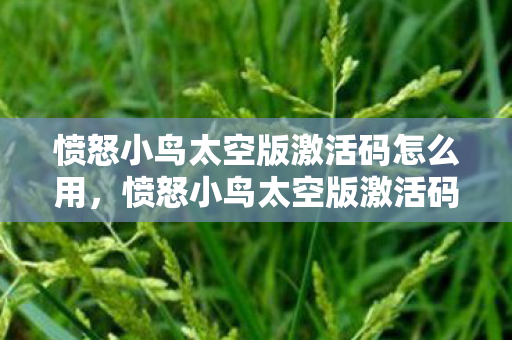 愤怒小鸟太空版激活码怎么用,愤怒小鸟太空版激活码,解锁无限可能的钥匙 愤怒小鸟太空版激活码怎么用,愤怒小鸟太空版激活码,解锁无限可能的钥匙