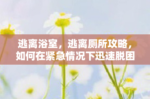 逃离浴室,逃离厕所攻略,如何在紧急情况下迅速脱困 逃离浴室,逃离厕所攻略,如何在紧急情况下迅速脱困