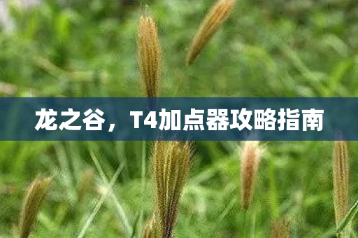 龙之谷,T4加点器攻略指南 龙之谷,T4加点器攻略指南