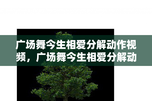 广场舞今生相爱分解动作视频,广场舞今生相爱分解动作详解 广场舞今生相爱分解动作视频,广场舞今生相爱分解动作详解