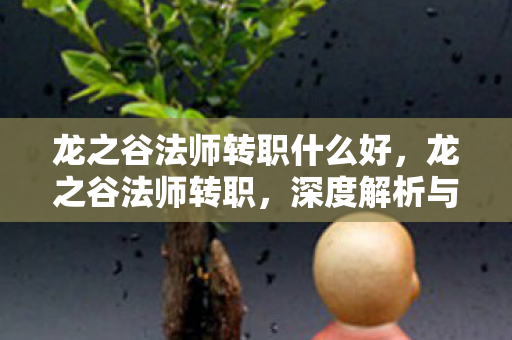 龙之谷法师转职什么好，龙之谷法师转职，深度解析与职业特色