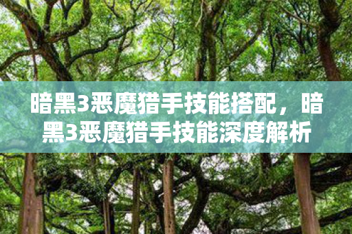 暗黑3恶魔猎手技能搭配，暗黑3恶魔猎手技能深度解析，猎魔之舞