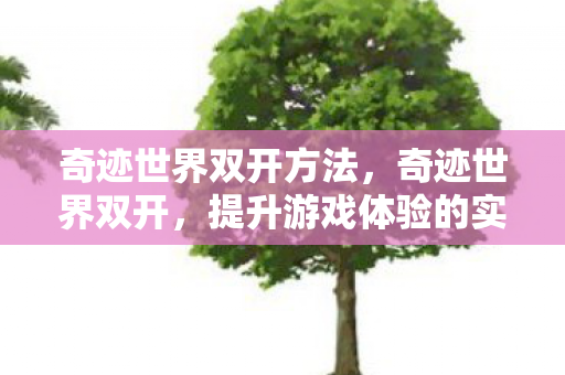 奇迹世界双开方法,奇迹世界双开,提升游戏体验的实用技巧 奇迹世界双开方法,奇迹世界双开,提升游戏体验的实用技巧