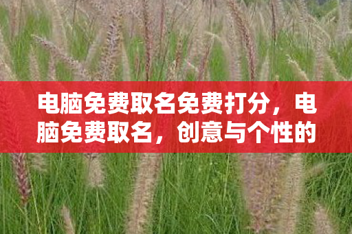电脑免费取名免费打分,电脑免费取名,创意与个性的碰撞 电脑免费取名免费打分,电脑免费取名,创意与个性的碰撞
