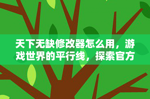天下无缺修改器怎么用，游戏世界的平行线，探索官方与社区版本的独特魅力