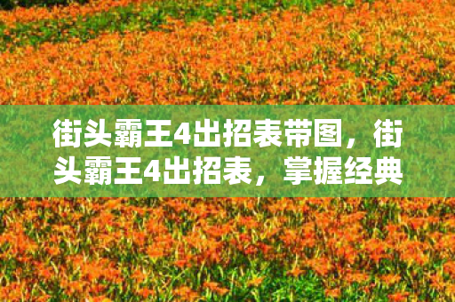 街头霸王4出招表带图，街头霸王4出招表，掌握经典招式，重温格斗传奇
