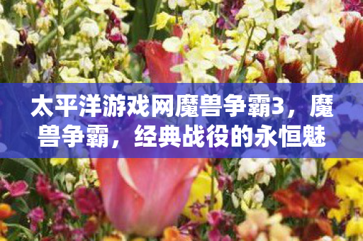 太平洋游戏网魔兽争霸3，魔兽争霸，经典战役的永恒魅力