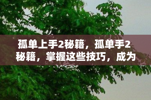孤单上手2秘籍,孤单手2 秘籍,掌握这些技巧,成为游戏高手 孤单上手2秘籍,孤单手2 秘籍,掌握这些技巧,成为游戏高手