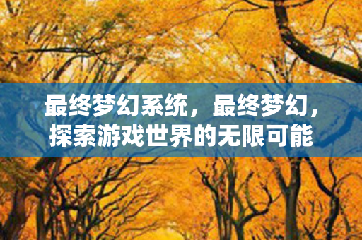 最终梦幻系统,最终梦幻,探索游戏世界的无限可能 最终梦幻系统,最终梦幻,探索游戏世界的无限可能