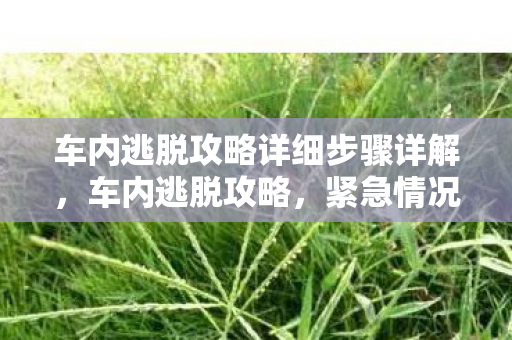 车内逃脱攻略详细步骤详解,车内逃脱攻略,紧急情况下的自救指南 车内逃脱攻略详细步骤详解,车内逃脱攻略,紧急情况下的自救指南
