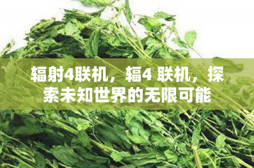 辐射4联机,辐4 联机,探索未知世界的无限可能 辐射4联机,辐4 联机,探索未知世界的无限可能