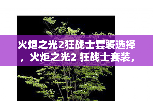 火炬之光2狂战士套装选择,火炬之光2 狂战士套装,打造无敌战士的必备神器 火炬之光2狂战士套装选择,火炬之光2 狂战士套装,打造无敌战士的必备神器