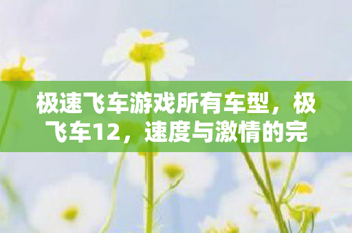 极速飞车游戏所有车型,极飞车12,速度与激情的完美结合 极速飞车游戏所有车型,极飞车12,速度与激情的完美结合