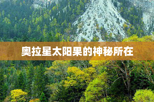 奥拉星太阳果的神秘所在 奥拉星太阳果的神秘所在