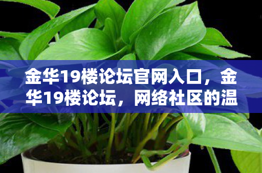 金华19楼论坛官网入口,金华19楼论坛,网络社区的温暖与力量 金华19楼论坛官网入口,金华19楼论坛,网络社区的温暖与力量