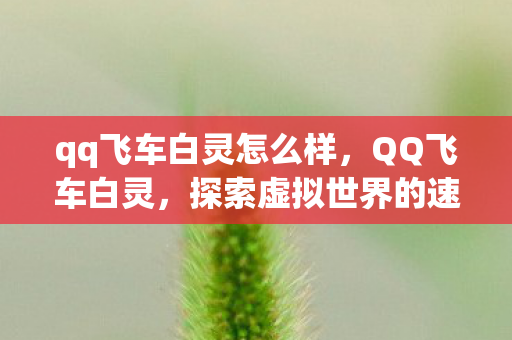 qq飞车白灵怎么样,QQ飞车白灵,探索虚拟世界的速度与激情 qq飞车白灵怎么样,QQ飞车白灵,探索虚拟世界的速度与激情