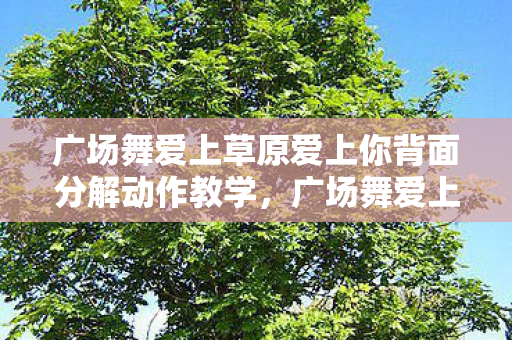广场舞爱上草原爱上你背面分解动作教学,广场舞爱上你,分解动作详解 广场舞爱上草原爱上你背面分解动作教学,广场舞爱上你,分解动作详解