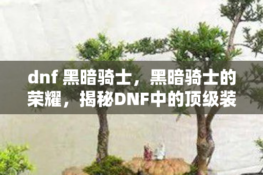 dnf 黑暗骑士,黑暗骑士的荣耀,揭秘DNF中的顶级装备 dnf 黑暗骑士,黑暗骑士的荣耀,揭秘DNF中的顶级装备
