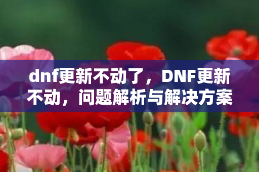 dnf更新不动了,DNF更新不动,问题解析与解决方案 dnf更新不动了,DNF更新不动,问题解析与解决方案