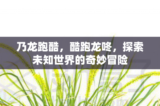乃龙跑酷，酷跑龙咚，探索未知世界的奇妙冒险