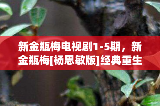 新金瓶梅电视剧1-5期，新金瓶梅[杨思敏版]经典重生的艺术魅力