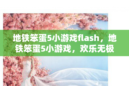 地铁笨蛋5小游戏flash，地铁笨蛋5小游戏，欢乐无极限的地铁冒险