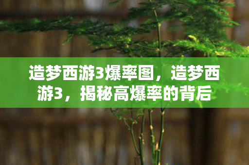 造梦西游3爆率图,造梦西游3,揭秘高爆率的背后 造梦西游3爆率图,造梦西游3,揭秘高爆率的背后