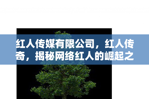 红人传媒有限公司,红人传奇,揭秘网络红人的崛起之路 红人传媒有限公司,红人传奇,揭秘网络红人的崛起之路