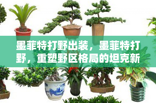 墨菲特打野出装,墨菲特打野,重塑野区格局的坦克新选择 墨菲特打野出装,墨菲特打野,重塑野区格局的坦克新选择