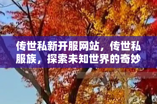 传世私新开服网站，传世私服族，探索未知世界的奇妙之旅