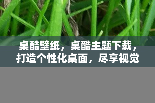 桌酷壁纸,桌酷主题下载,打造个性化桌面,尽享视觉盛宴 桌酷壁纸,桌酷主题下载,打造个性化桌面,尽享视觉盛宴